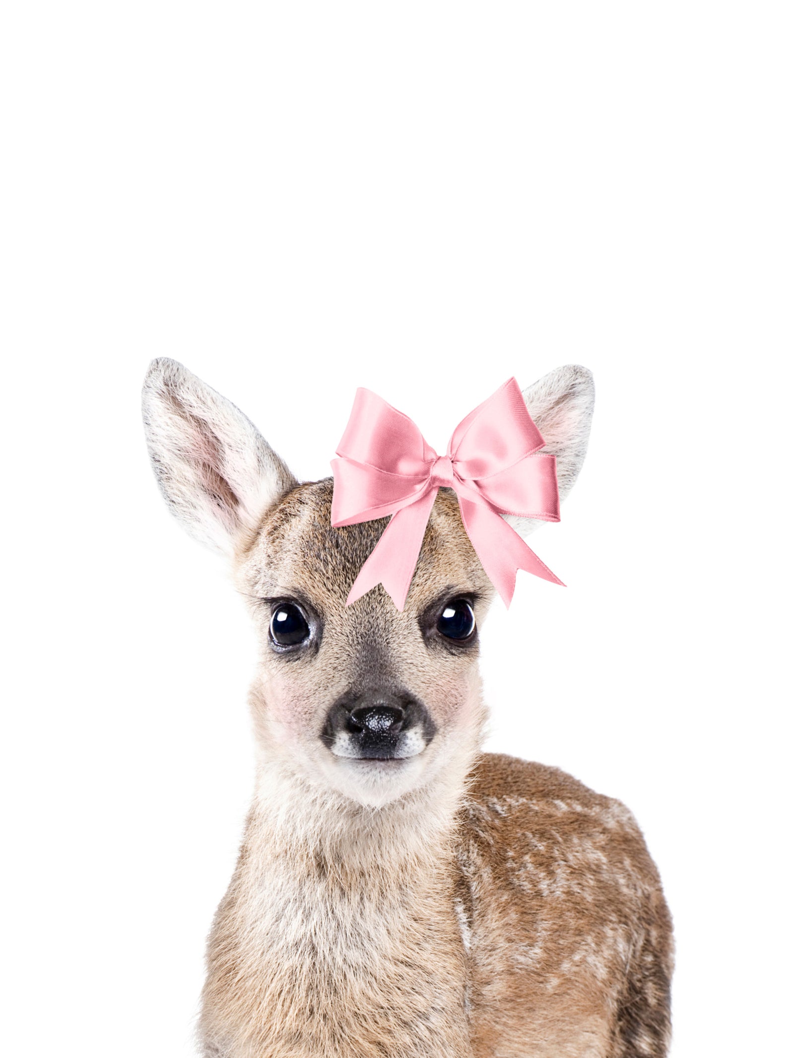 Deer With A Bow Wall Mural