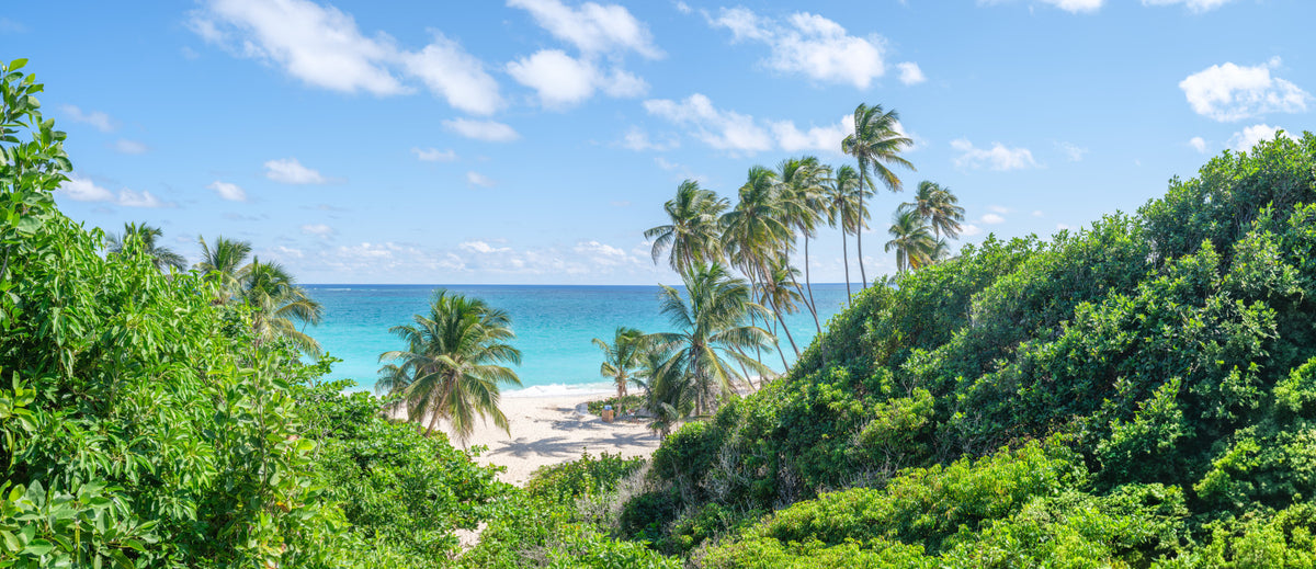 Tropical Beach Bliss Wall Mural in your room