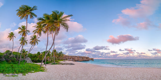 Serene Tropical Evening Wall Mural