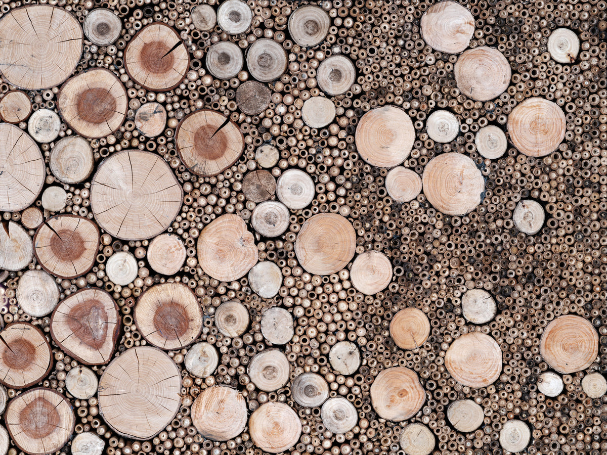 Circular Wood Array Wall Mural in your room