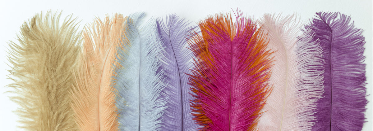 Feathers of Pastel Wall Mural in your room — zoomed