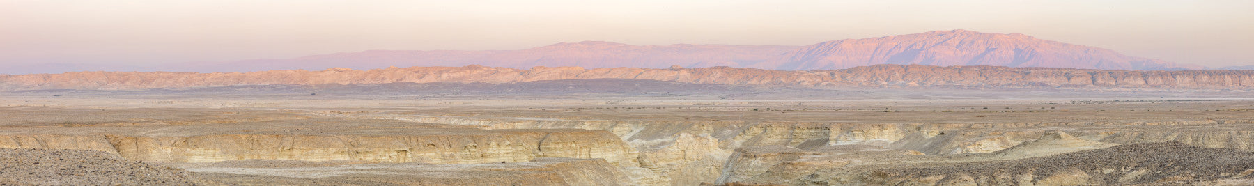 Desert dawn mural wallpaper

