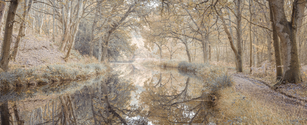 Autumn Canal Wall Mural in your room — zoomed