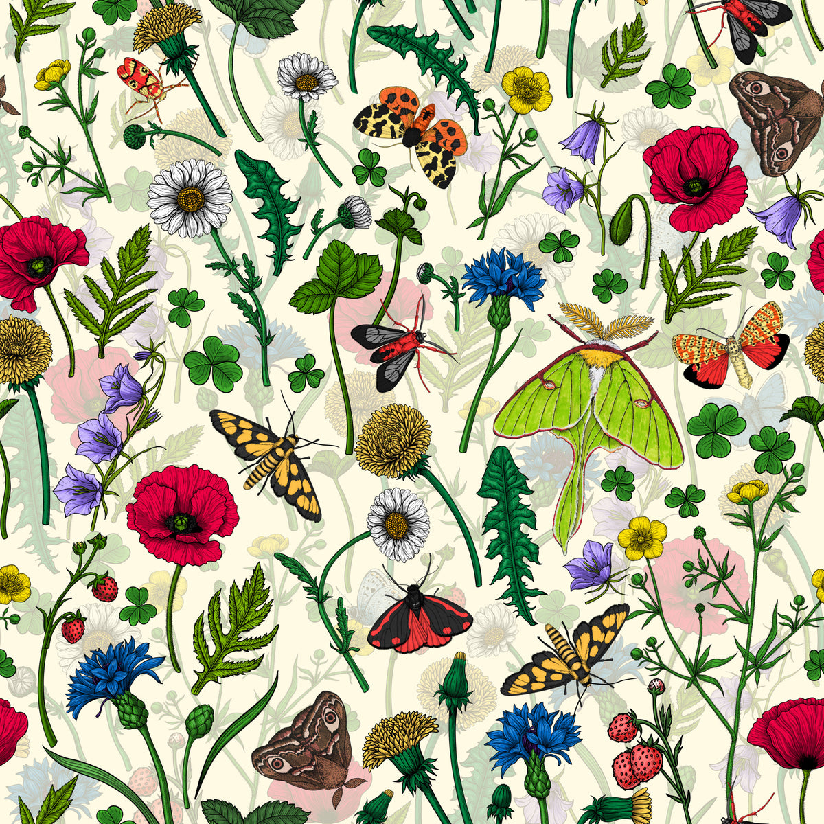 Moths and wildflowers Wallpaper⁠ in your room — zoomed