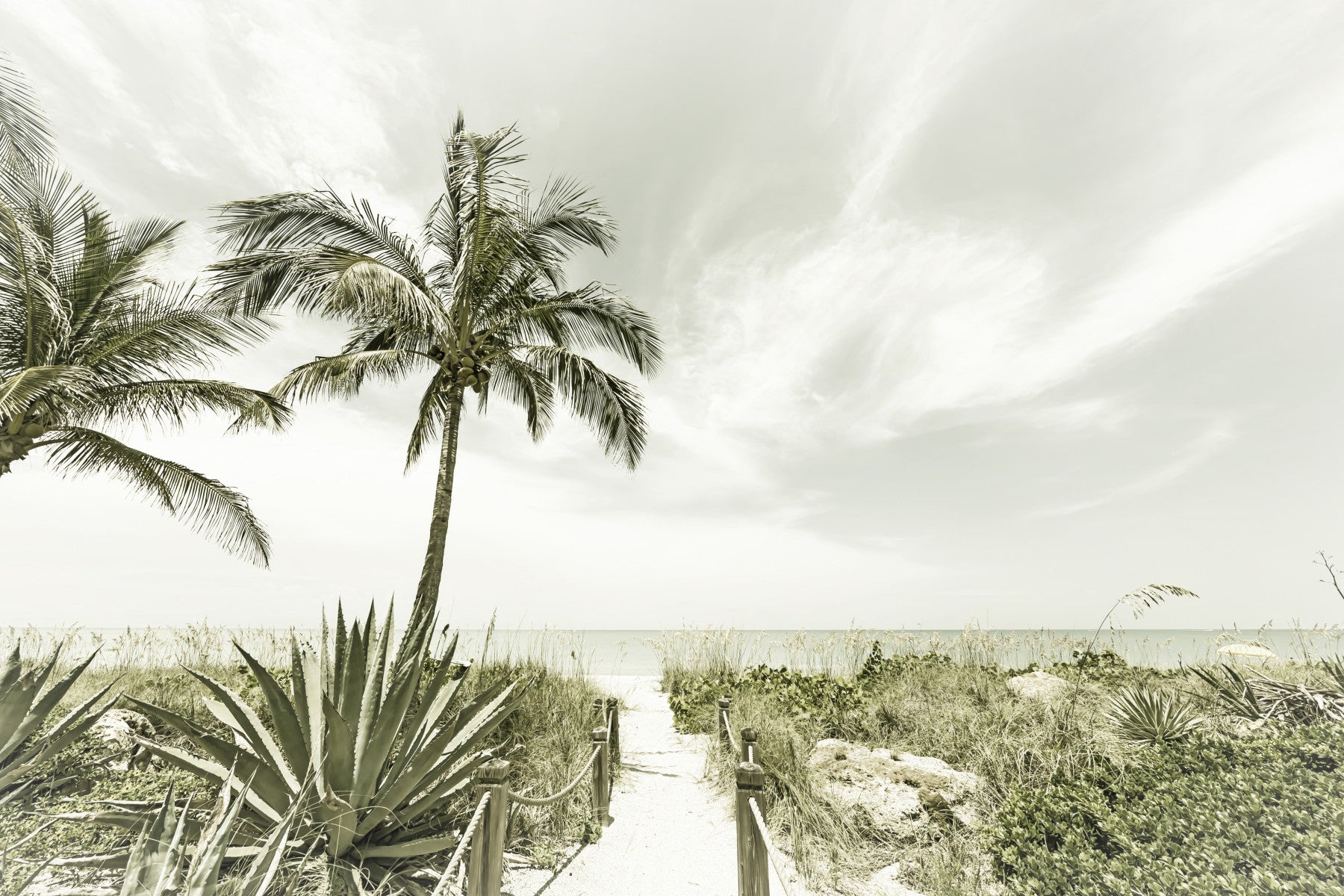 Alone at the beach | Vintage Wall Mural in your room — zoomed