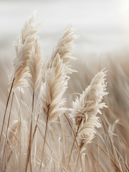 Pampas grass by the sea Wall Mural