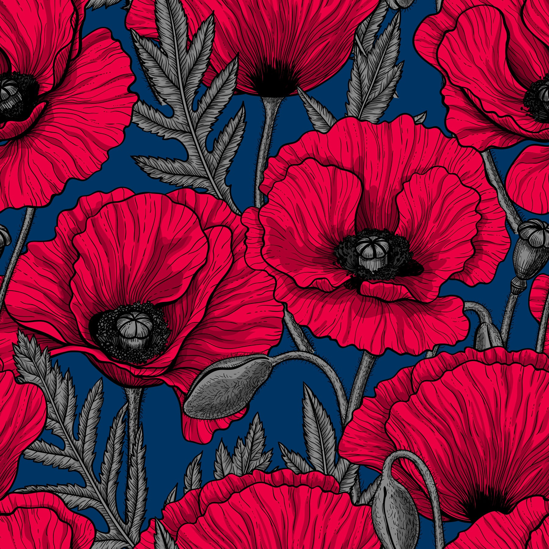 Red poppies on dark blue Wallpaper⁠