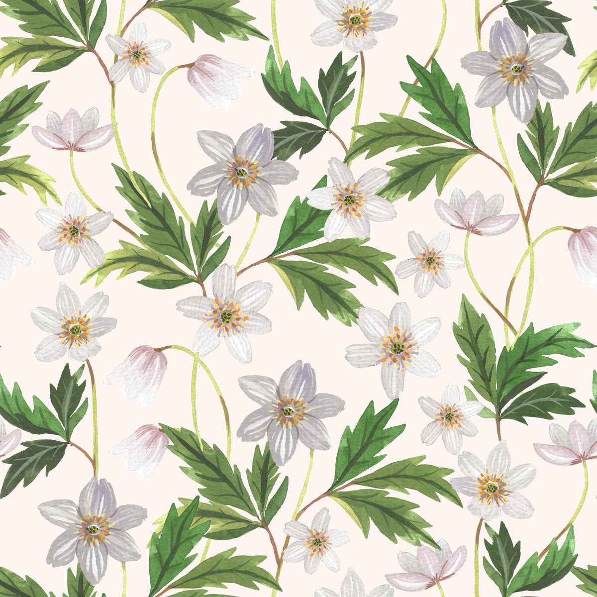 Wood Anemone on White Wallpaper⁠ in your room — zoomed