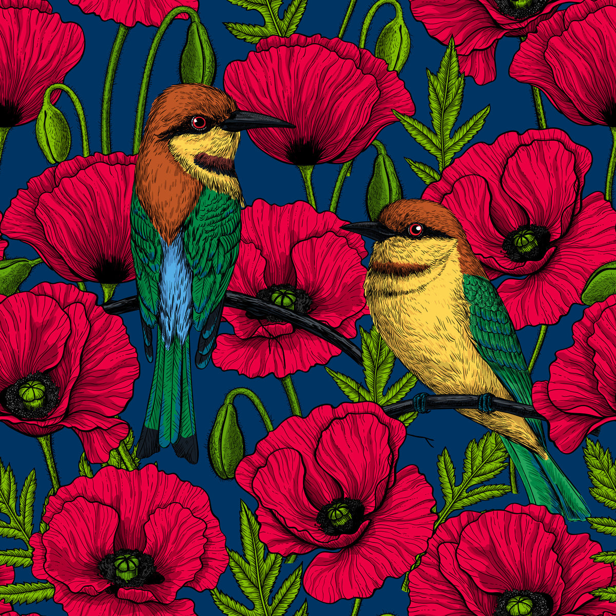 Red popies and bee eaters on dark blue Wallpaper⁠ in your room