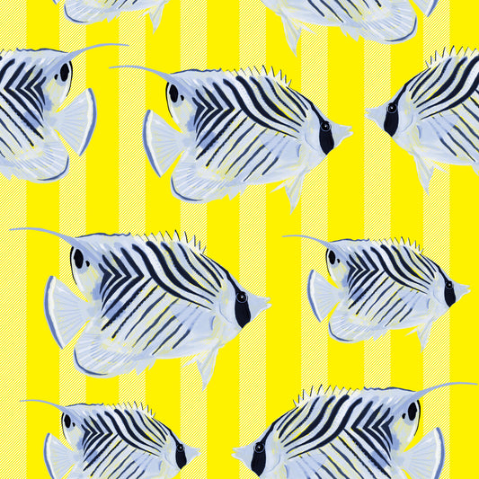 Aquaria Wallpaper⁠