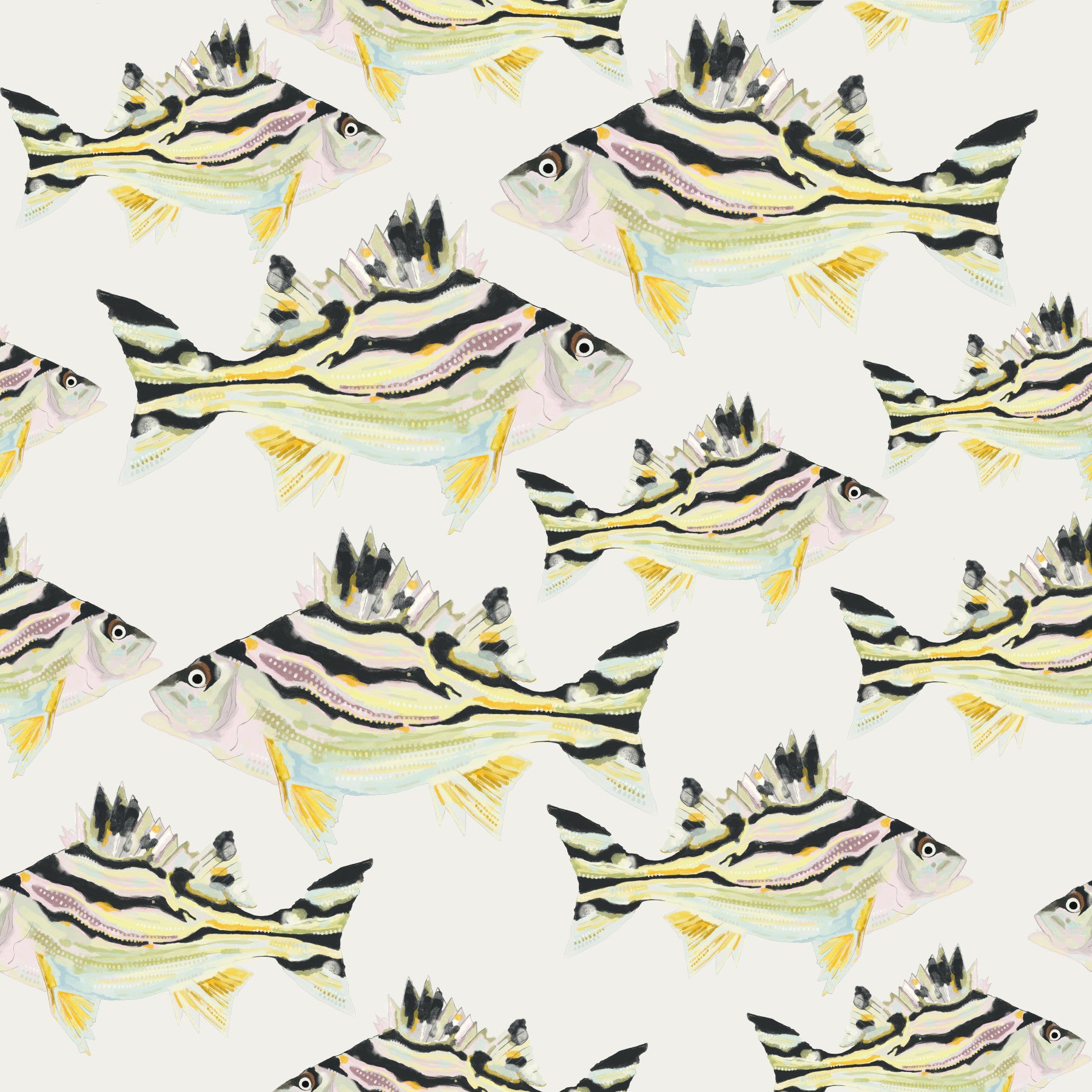Jarbua - The Fish Wallpaper⁠