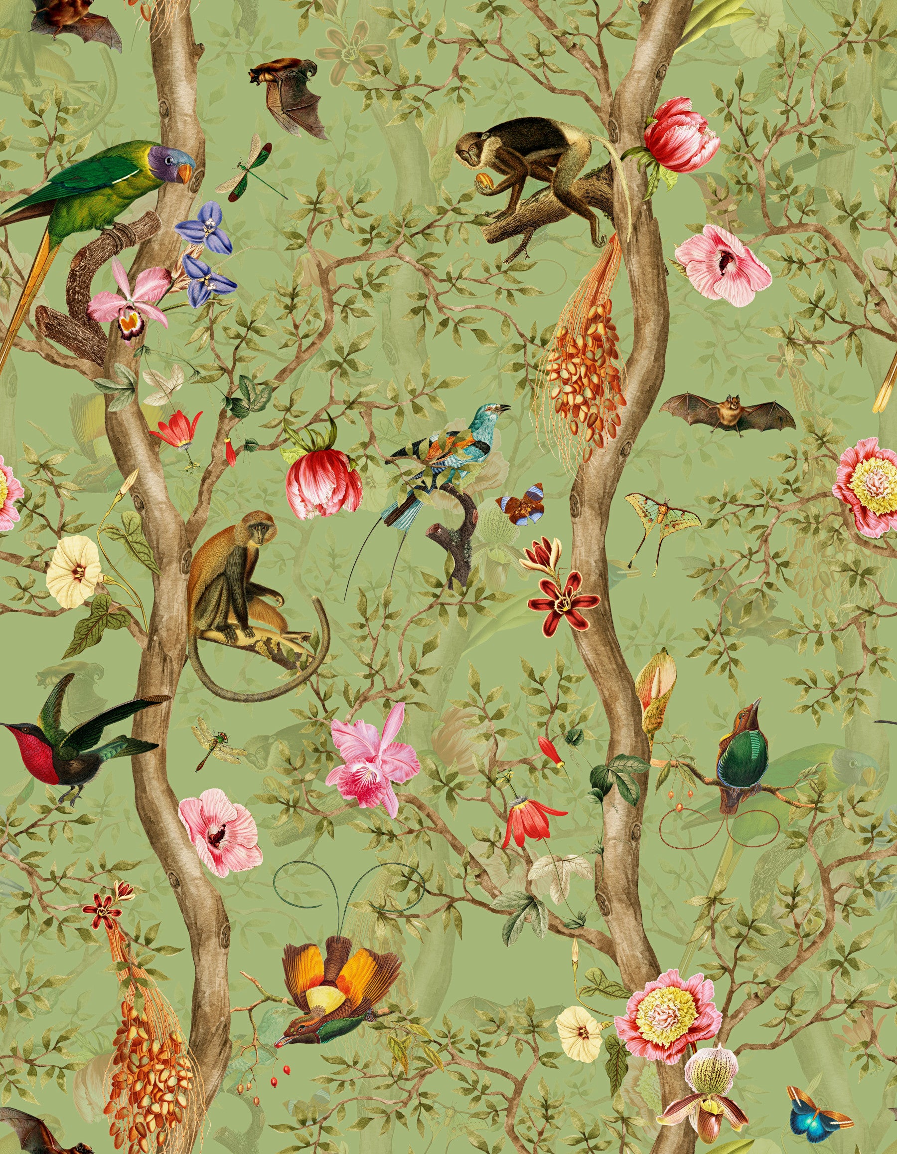 Tropical Paradise Birds 4 ⁠ Wallpaper⁠