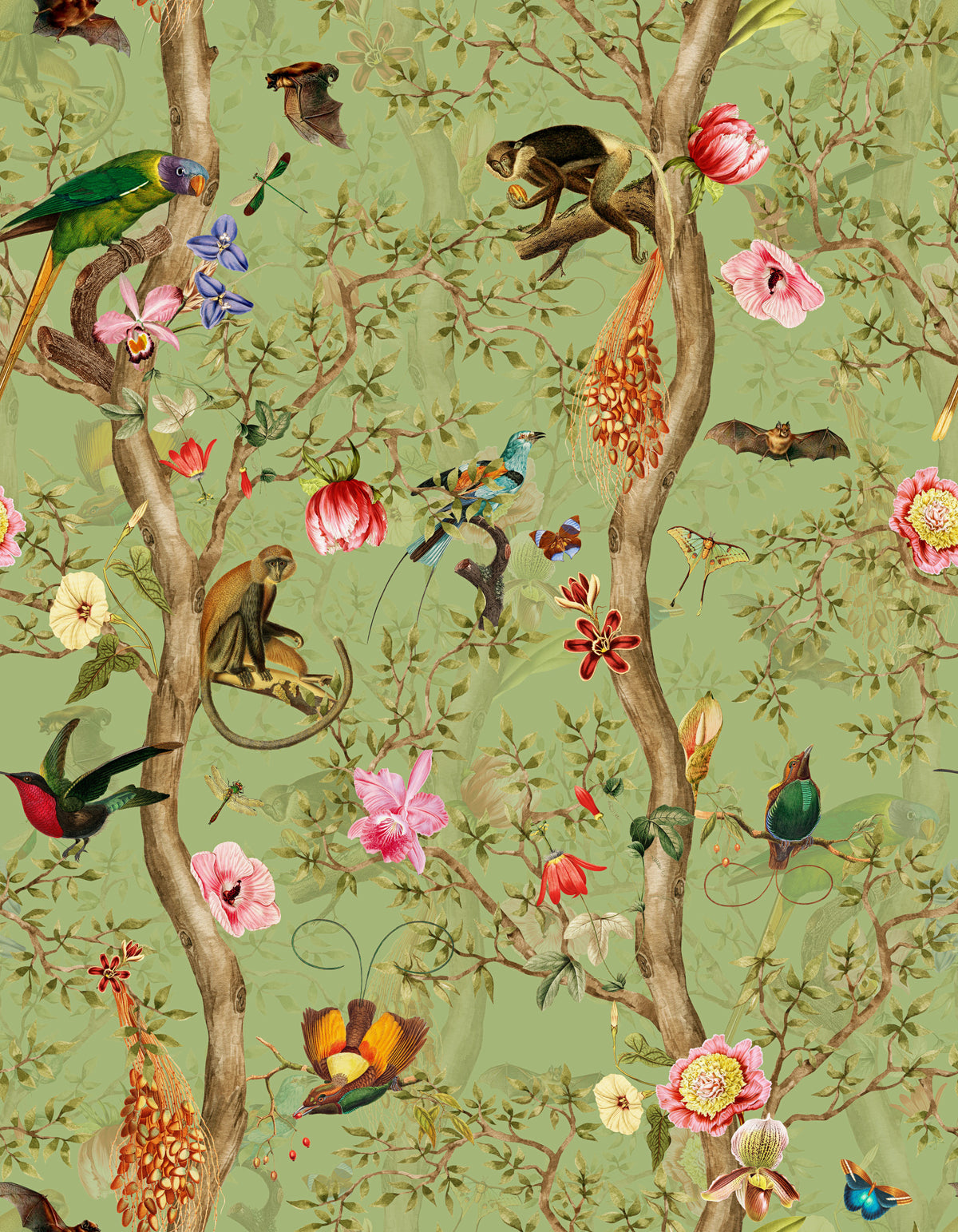 Tropical Paradise Birds 4 ⁠ Wallpaper⁠ in your room — zoomed