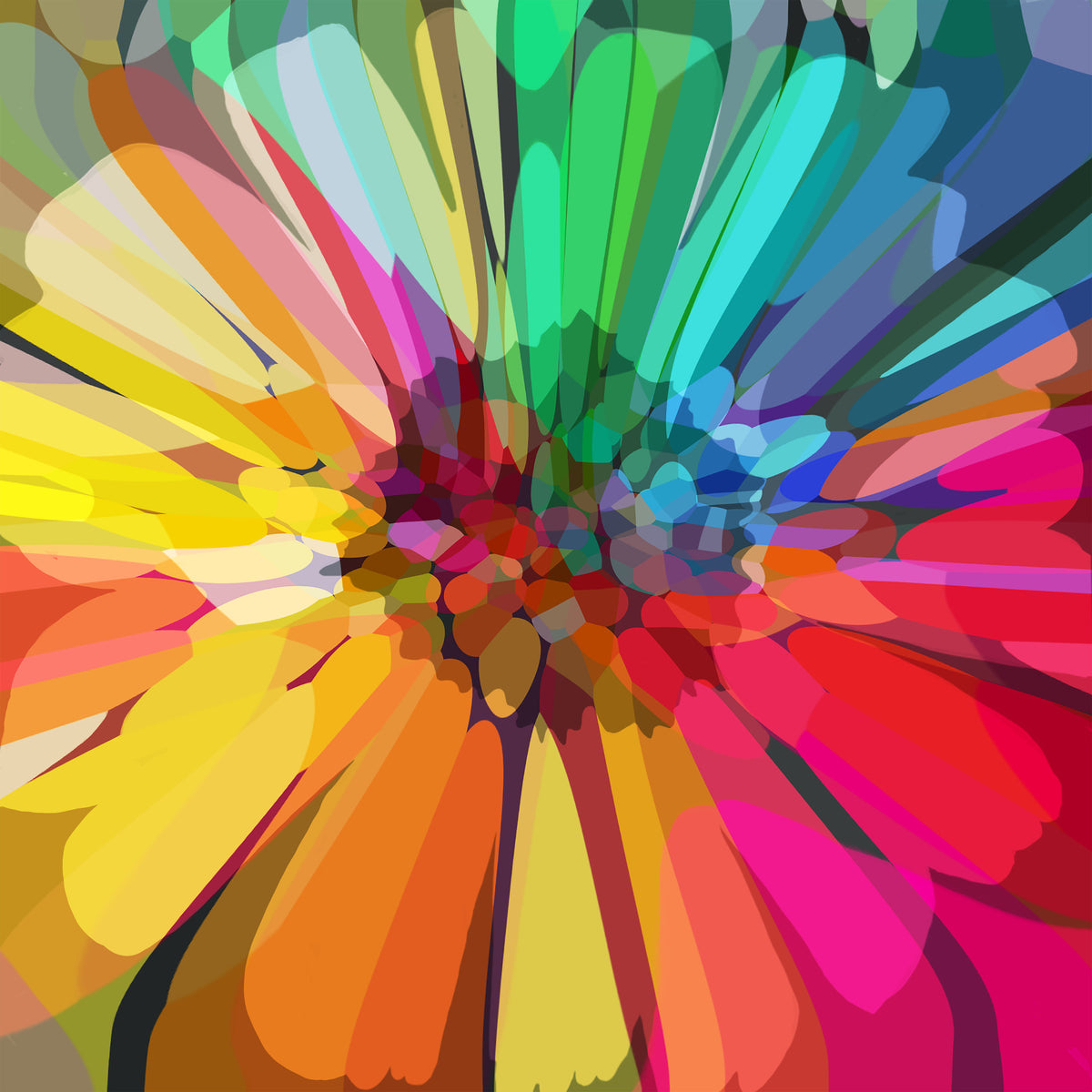 Chromatic Burst Wall Mural in your room — zoomed