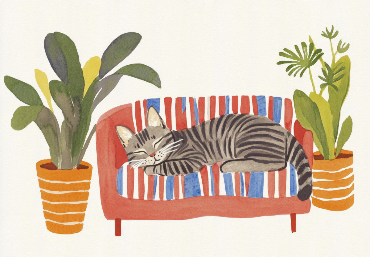 Cat Nap Oasis Watercolor Comfort Wall Mural in your room — zoomed