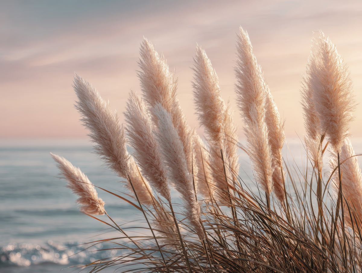 Coastal Dreams Wall Mural in your room