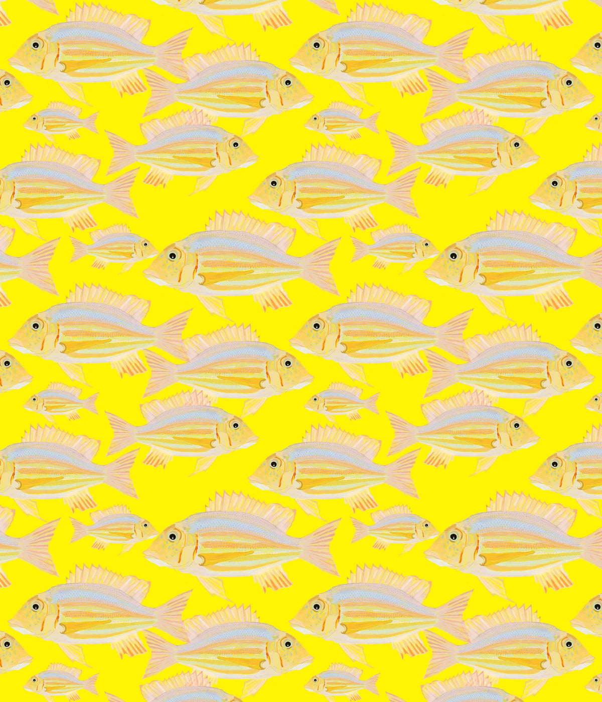 Fish Wallpaper⁠ in your room — zoomed