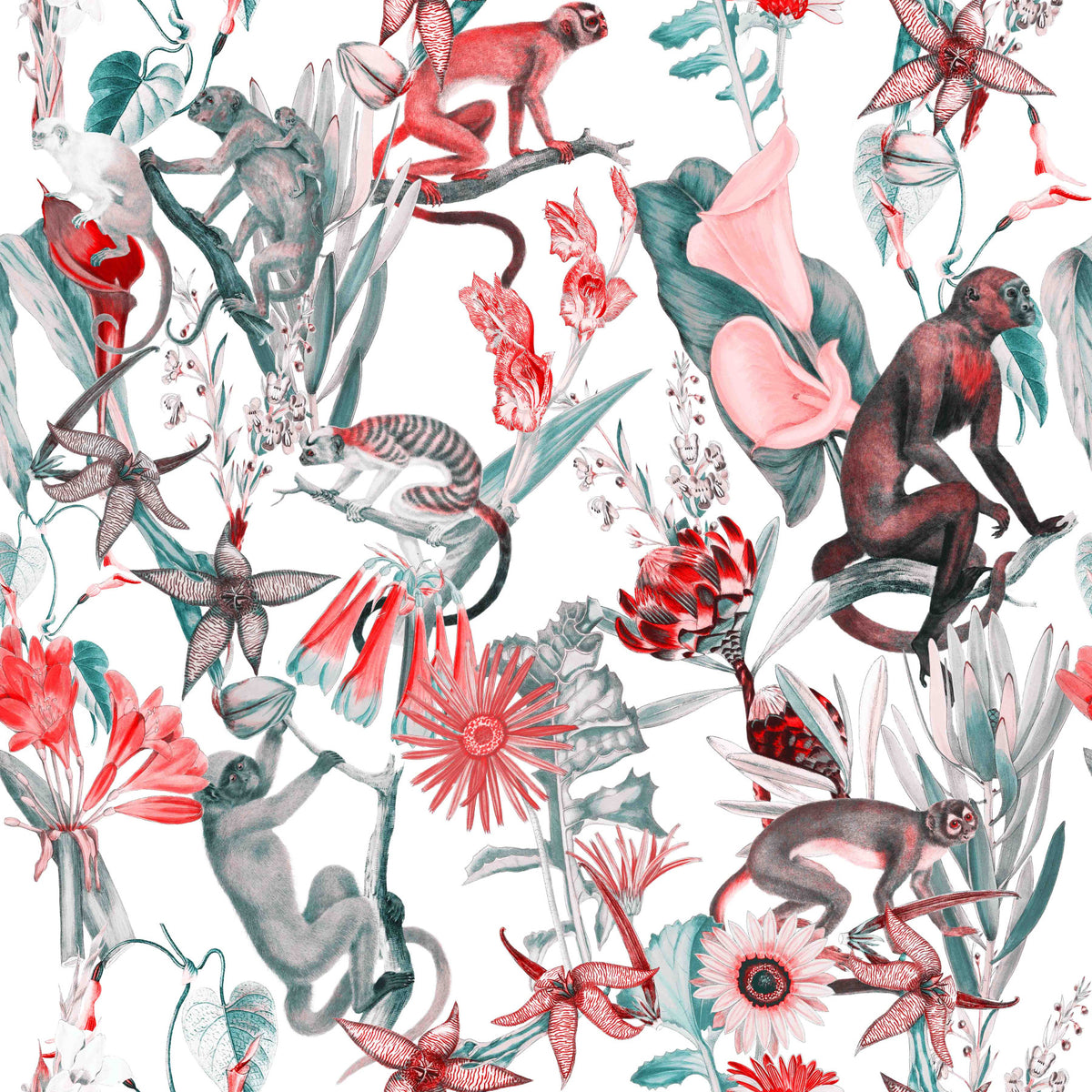 Hakuna  Wallpaper⁠ in your room