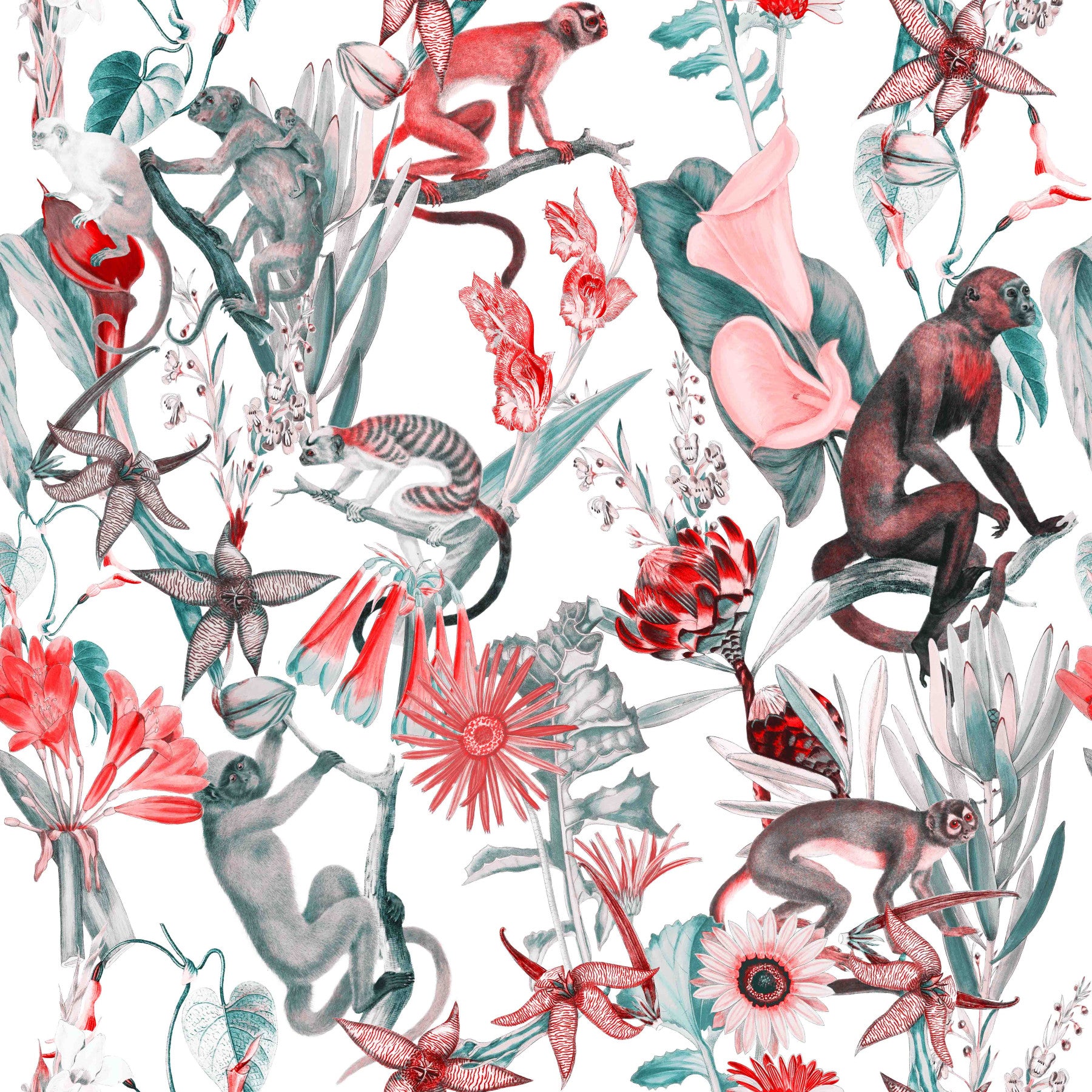 Hakuna  Wallpaper⁠