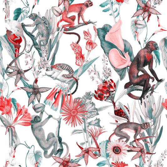 Hakuna  Wallpaper⁠