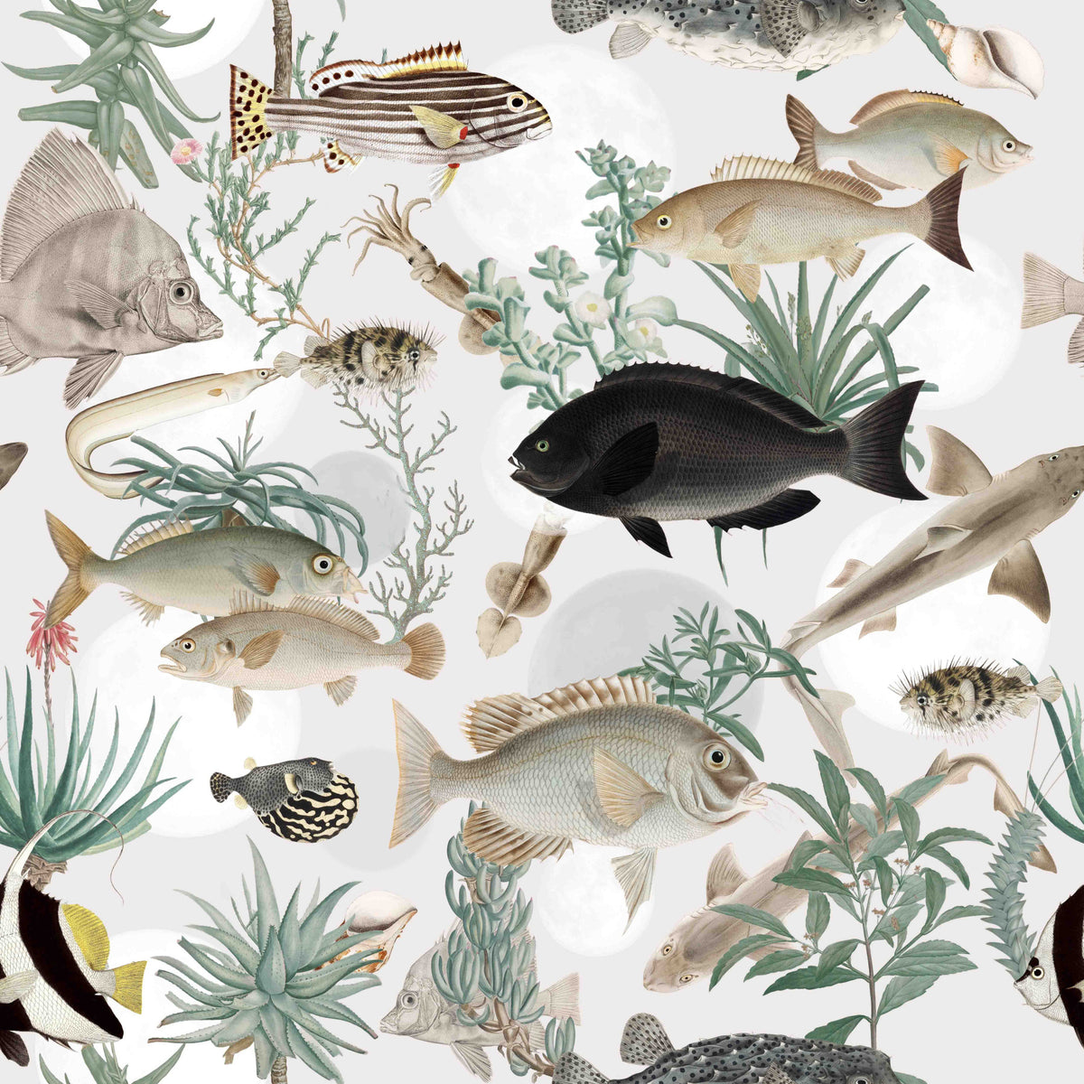 Oceania Wallpaper⁠ in your room — zoomed