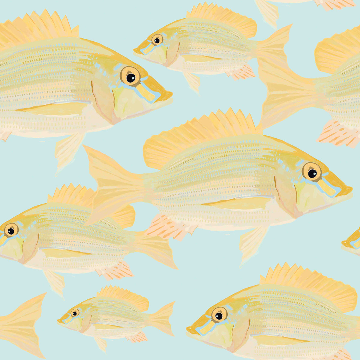 Sand Bream - The Fish 6  Wallpaper⁠ in your room