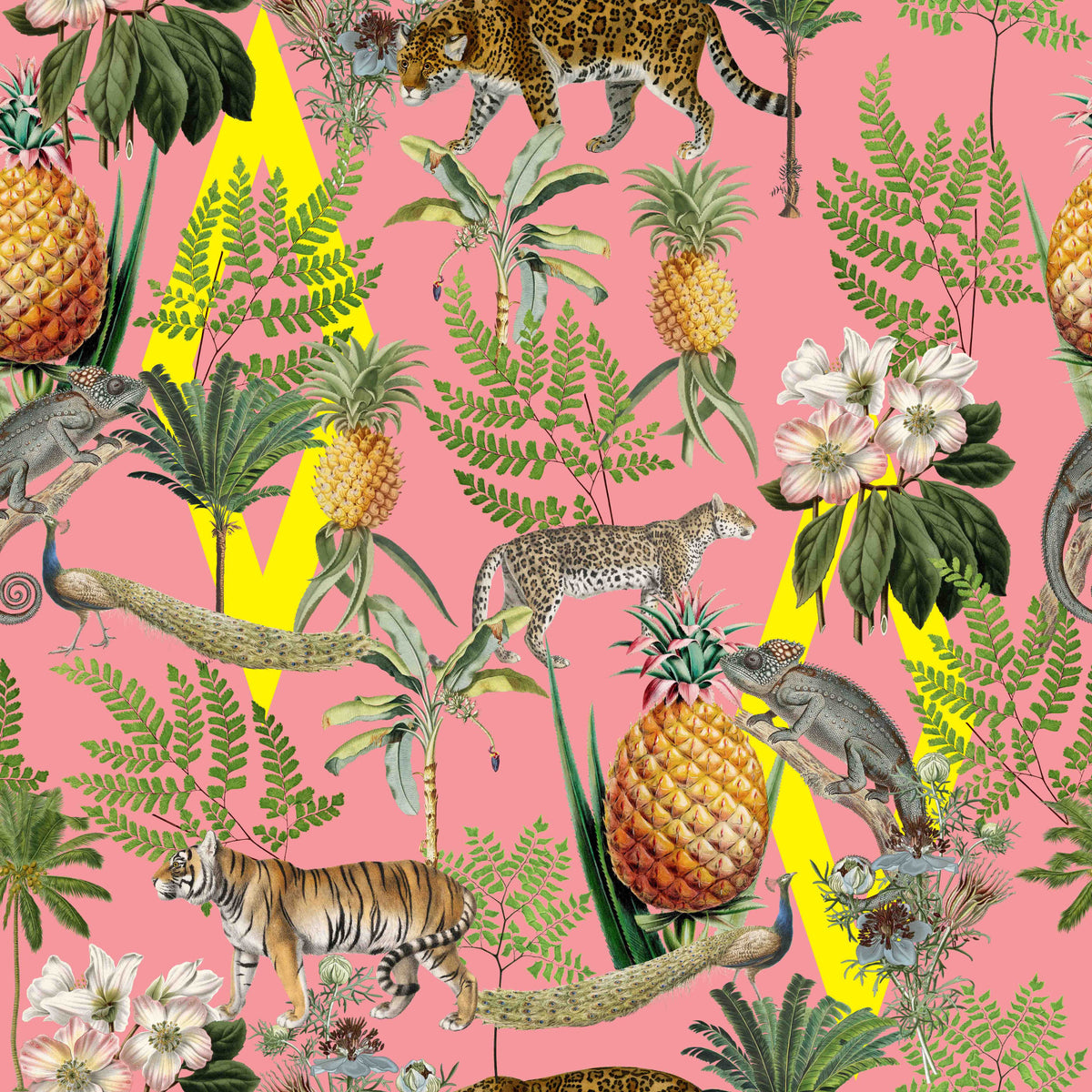 Wild Savana 02 Wallpaper⁠ in your room