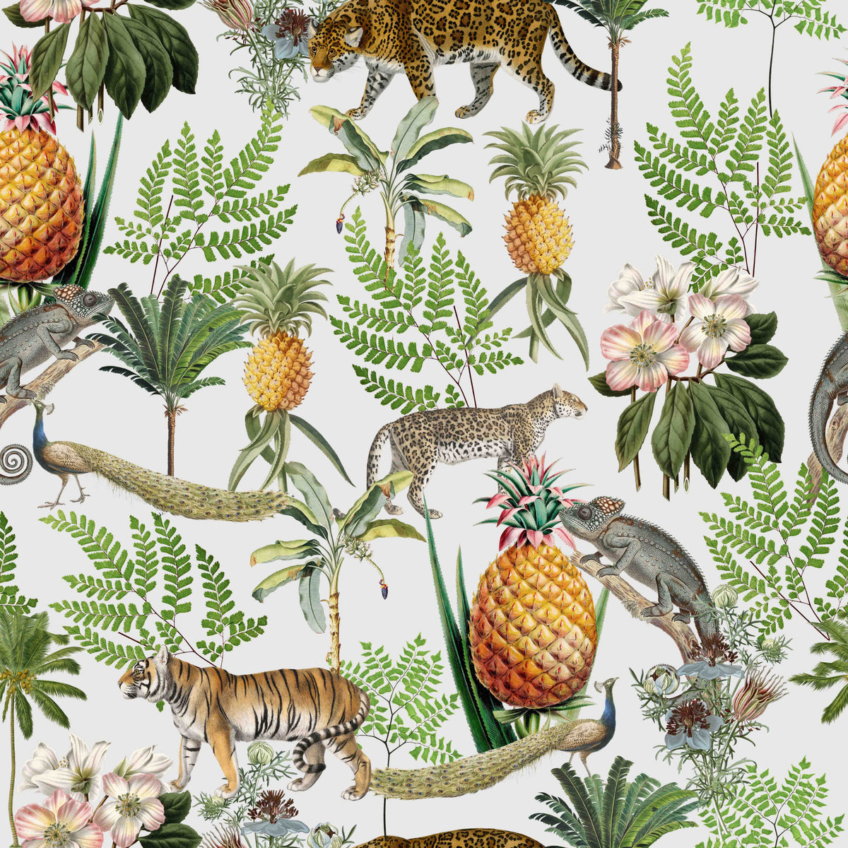 Wild Savana Wallpaper⁠ in your room