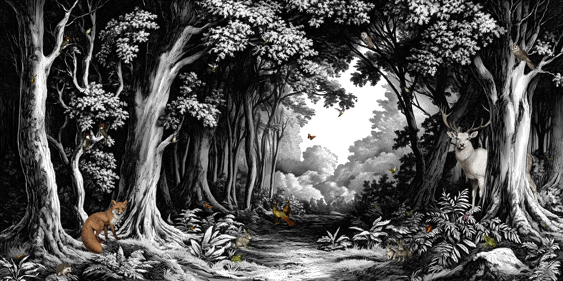 Into the Forest - Black & White Wall Mural in your room — zoomed