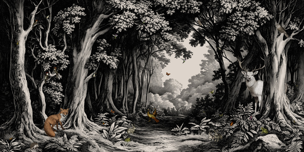 Into the Forest -  Black & Off-White Wall Mural in your room — zoomed