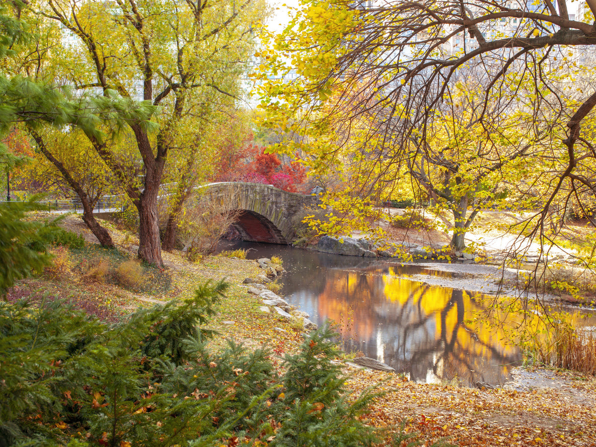 Autumnal Elegance Wall Mural in your room — zoomed