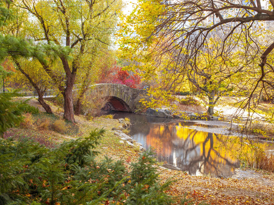 Autumnal Elegance Wall Mural