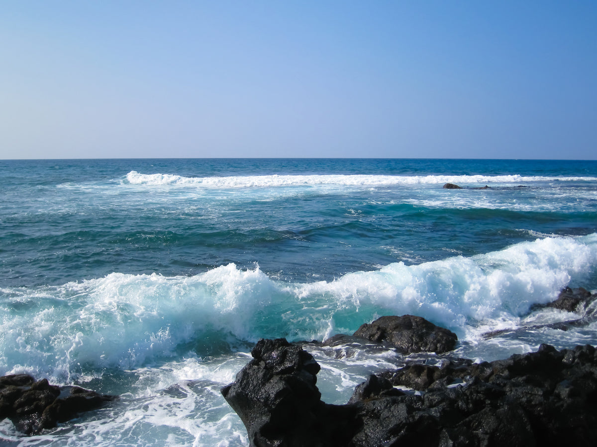 Hawaii Rocky Shore Wall Mural in your room