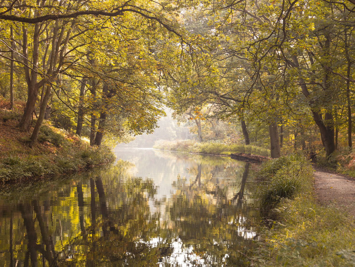 Basingstoke canal Wall Mural in your room