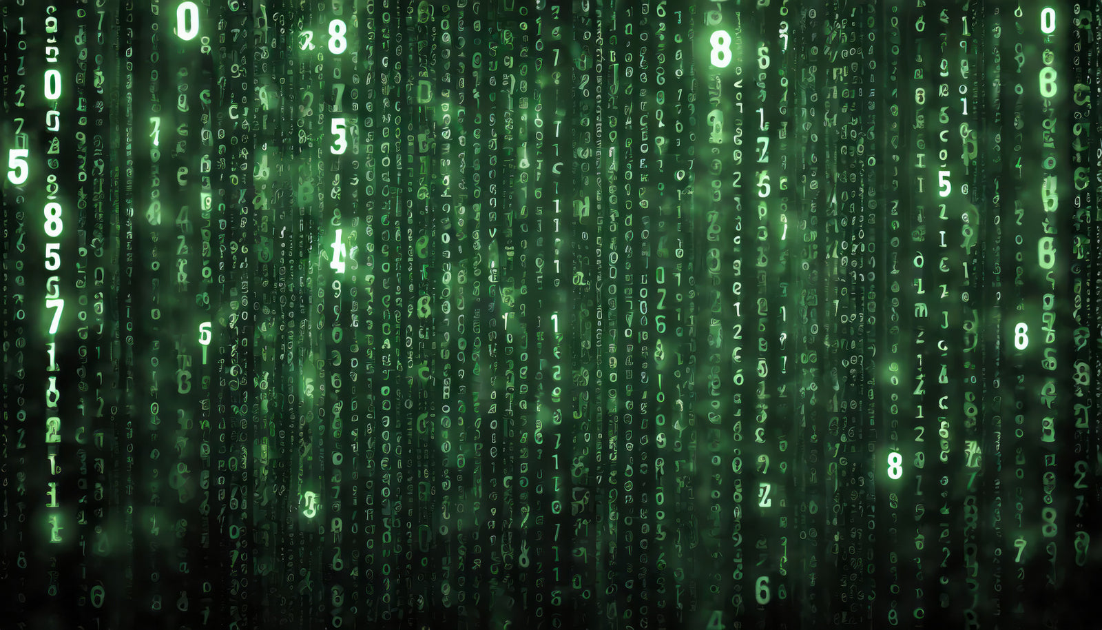 Digital Rain Code Matrix Wall Mural