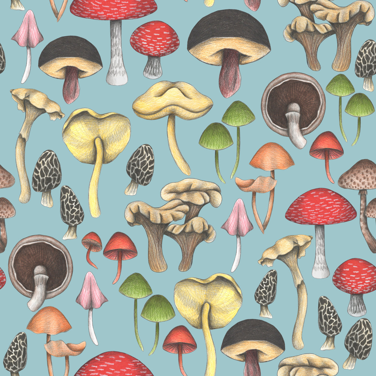 Wild Mushrooms Fantasy Wallpaper⁠ in your room