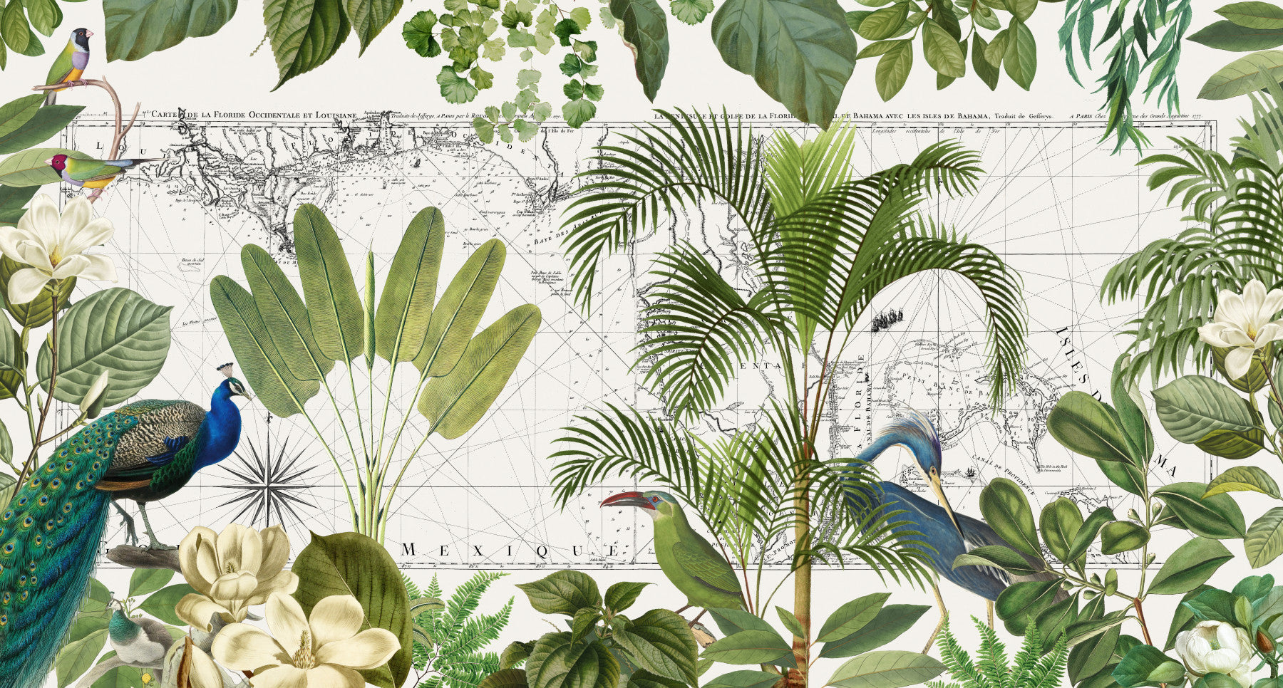 Wall mural with vintage charts and tropical birds
