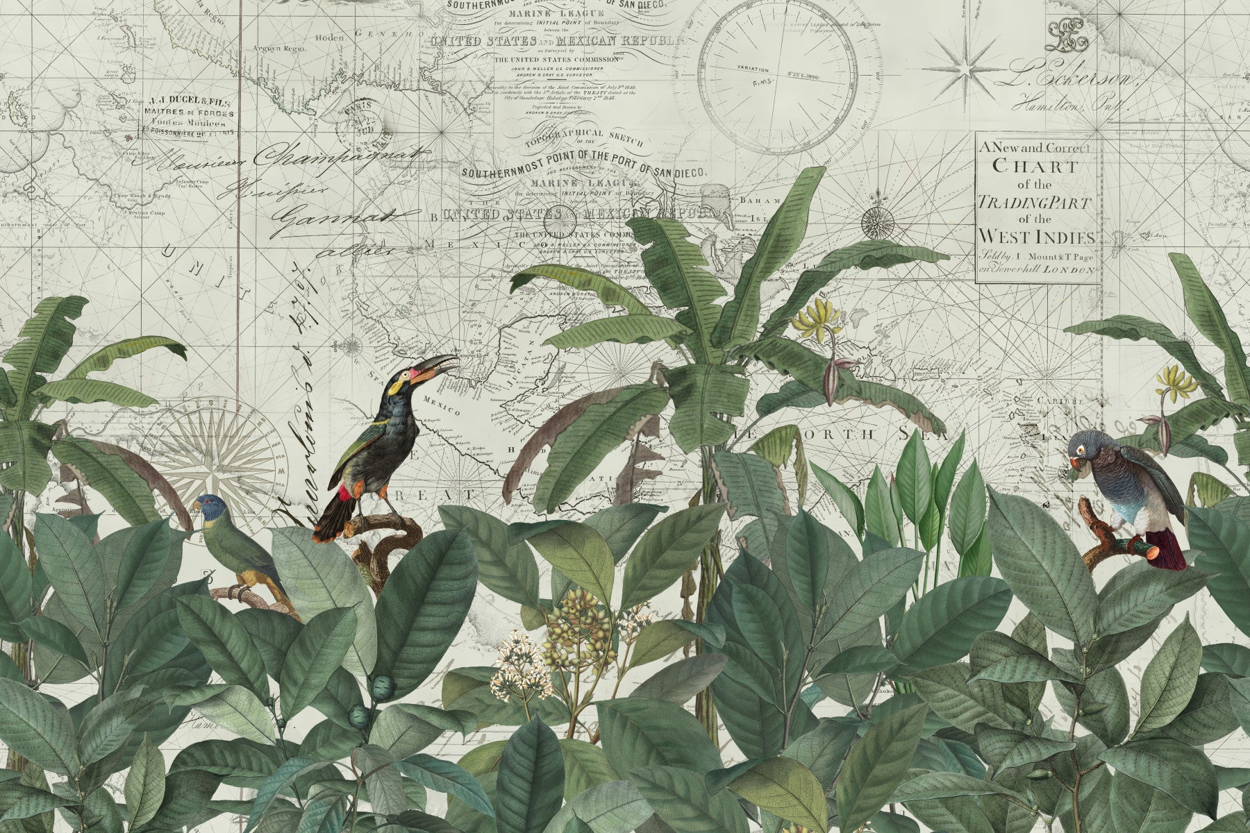 Discover The Tropical Vintage World wallpaper mural of a West Indies chart with palms and toucans behind a white sofa