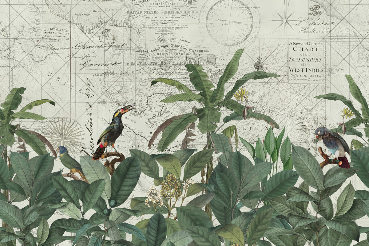 Discover The Tropical Vintage World Wall Mural in your room — zoomed