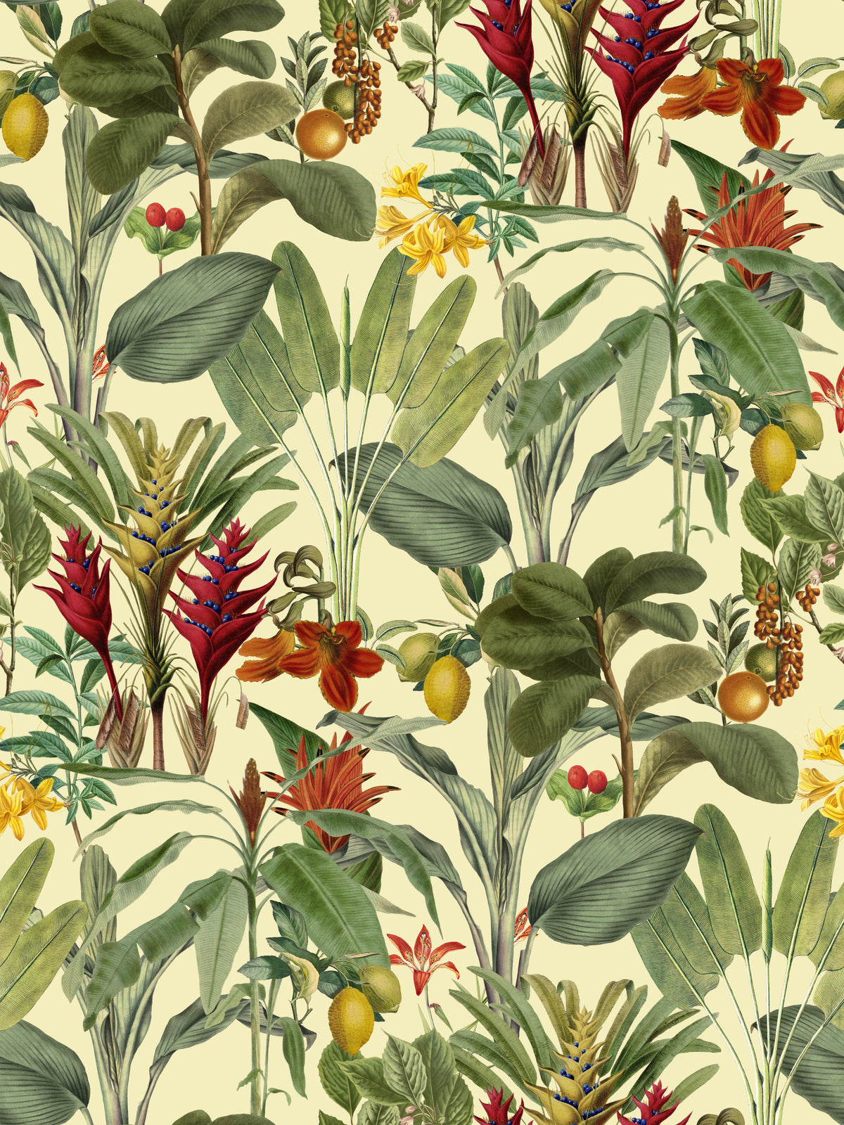 Tropical Jungle Garden Wallpaper⁠