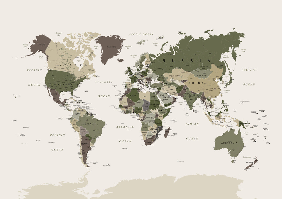 World Map Camouflage Green Wall Mural in your room