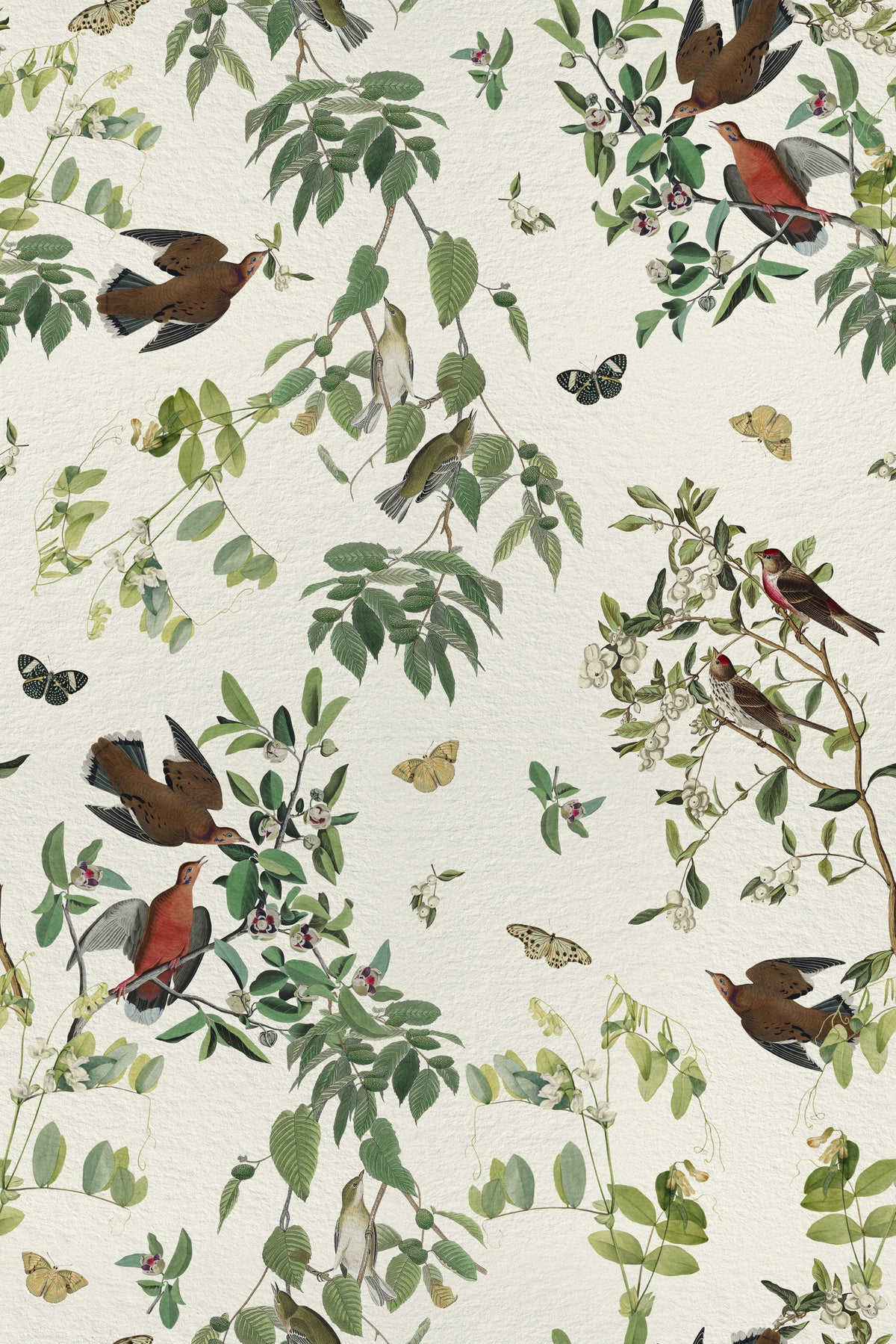 Birds and Butterflies Branch Olive Green Wallpaper⁠ in your room