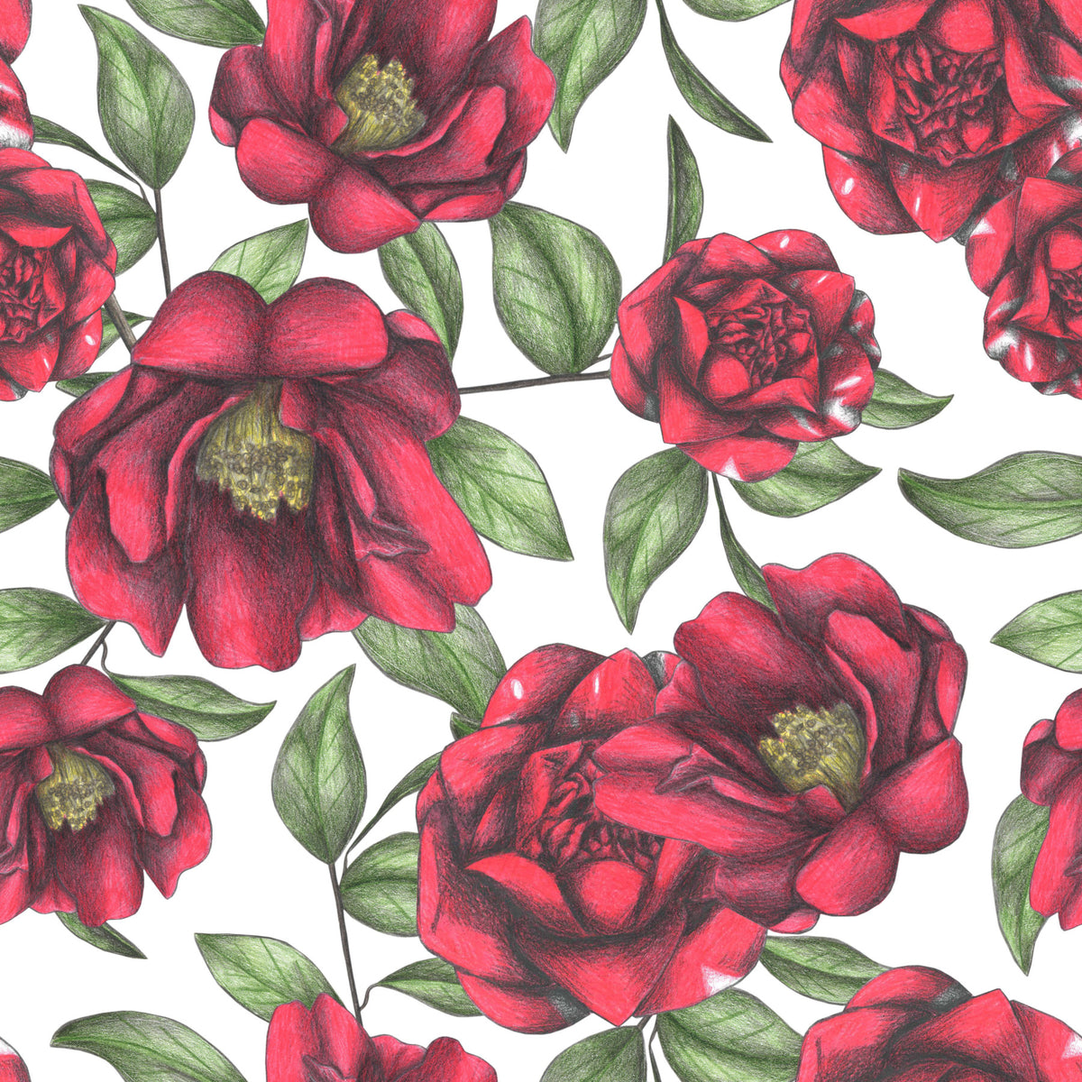 Blooming Camellias Wallpaper⁠ in your room — zoomed