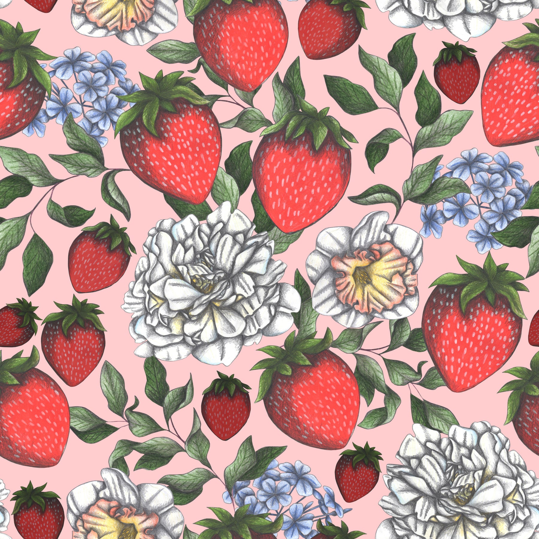 Strawberry Season Wallpaper⁠