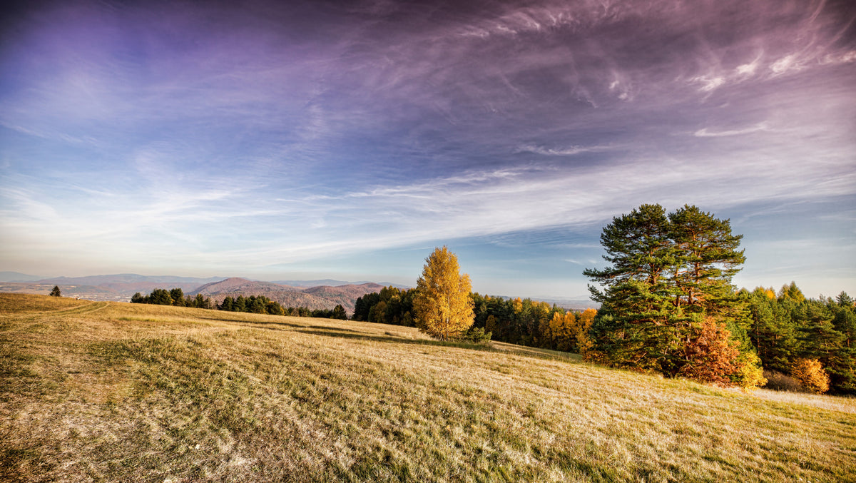 Autumn Meadow Landscape Print - Serene Nature Photography Wall Mural in your room