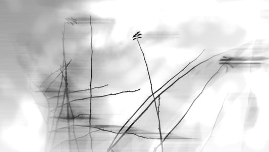 Ethereal Monochrome Art Print of Delicate Branches Wall Mural