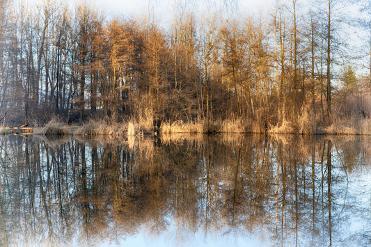 Tranquil Reflection of Autumn Trees on Water | Serene Nature Photography Wall Mural