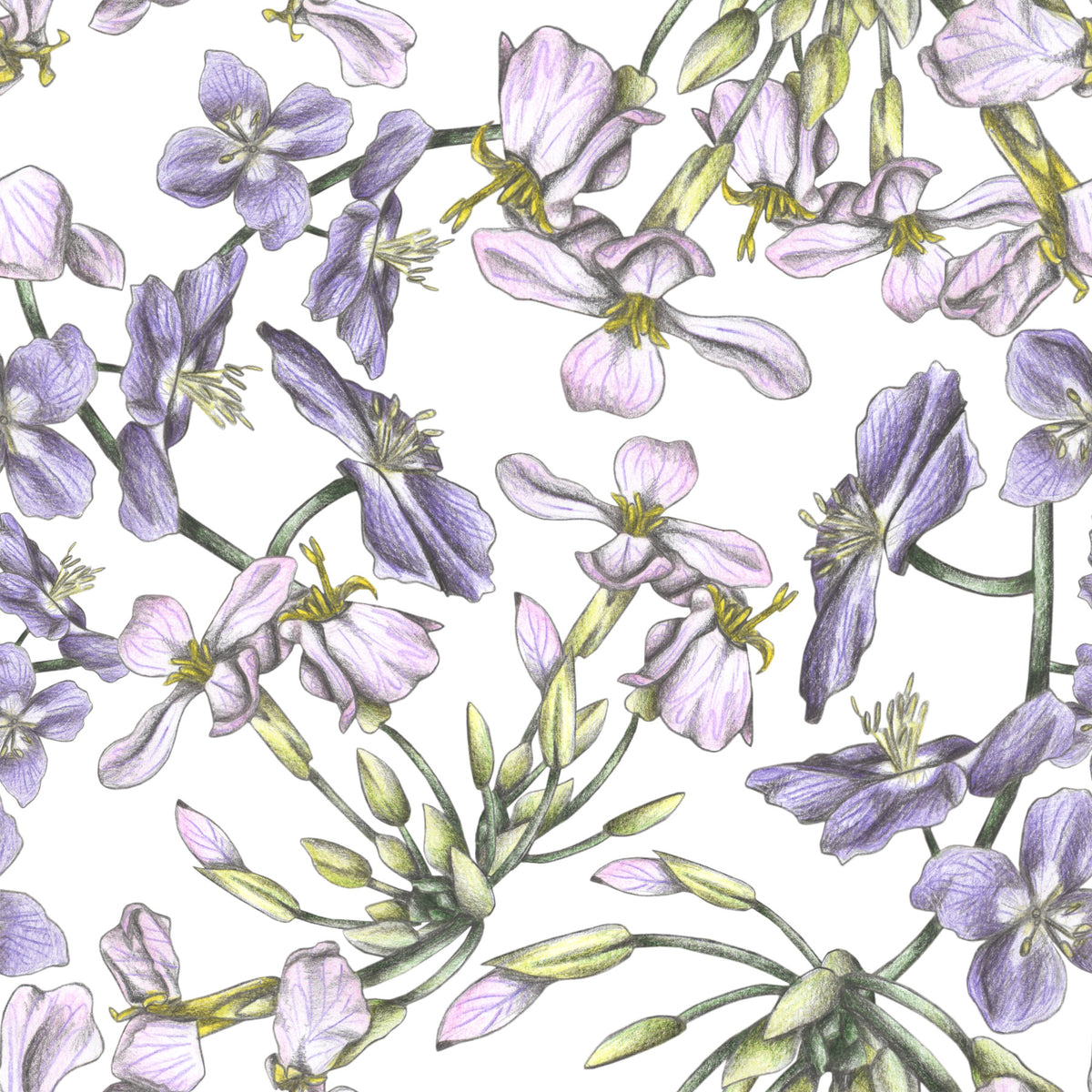 Spring is Calling Wallpaper⁠ in your room — zoomed