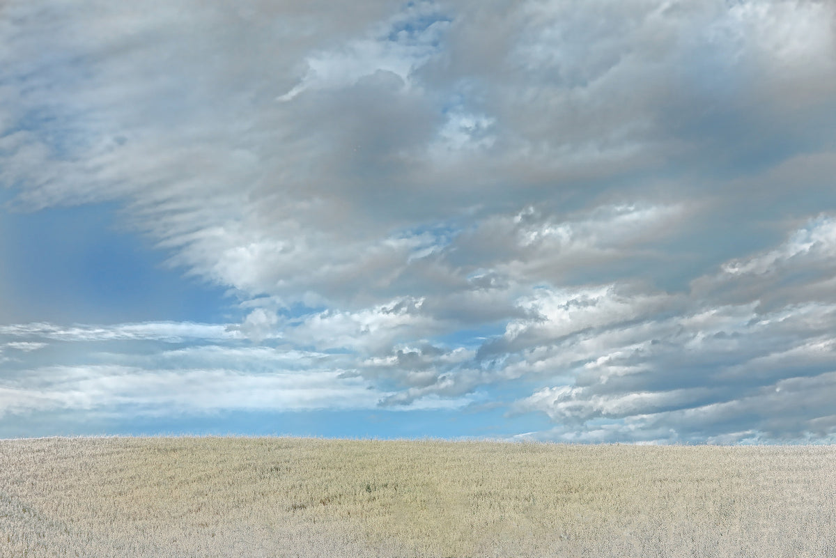 Serene Landscape Photography of Rolling Fields and Dramatic Skies Wall Mural in your room