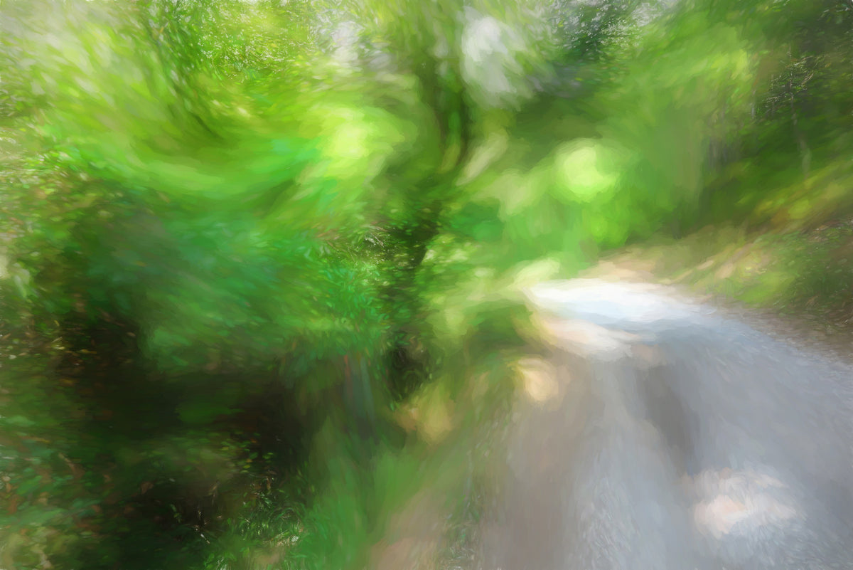 Lush Green Pathway Art Print | Serene Nature Photography | Blurred Light Effect Wall Mural in your room